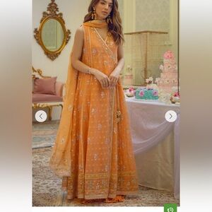 Ansab jahangir pakistani authentic  designer